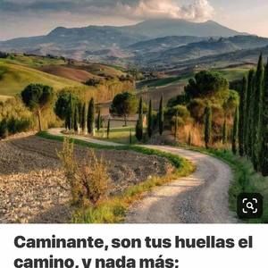 Meet your Posher, Flor